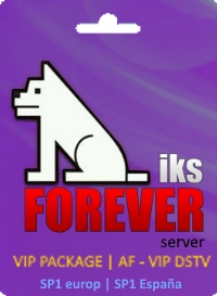 Activation-du-serveur-Forever